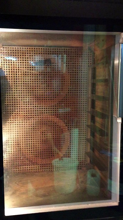 W&P Back Star B8 shop oven www.guezel-handel.de gebraucht