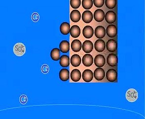Electrochemical cells DVD adv.mp4