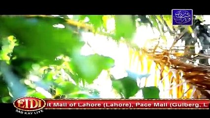 Raja Indar Drama - Episode 29 . 22th June 2015