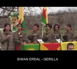 Sivan Erdal - Gerilla