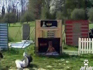 attaque en frappe muselée d'enfer.wmv