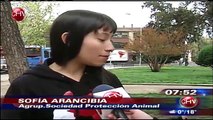 SCPA en Chilevision Noticias por salto al rodeo