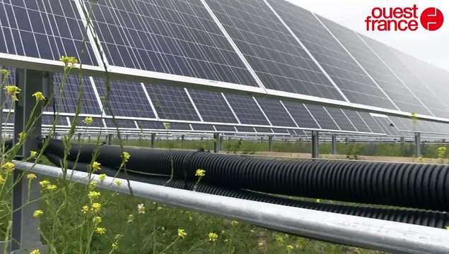 Comment ça marche le photovoltaïque ?