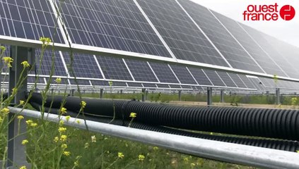 Comment ça marche le photovoltaïque ?