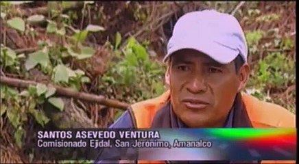 Deforestación en México. Análisis de la política forestal. OnceTV (3/5)