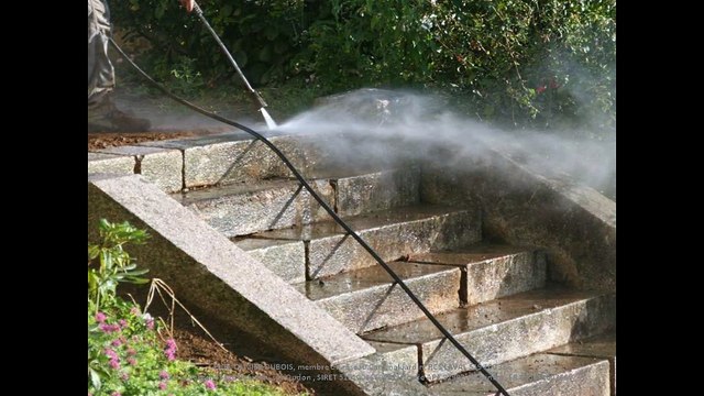 Rénovation maison bourgeoise, cour, brise vue, escalier et portail