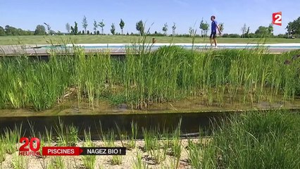 Les piscines de demain seront "bio"
