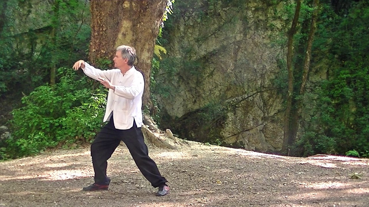 Tao dit "des 5 pas", école ETKI, renforcement de dan-tien.