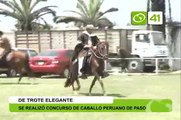 Se realizó concurso de caballo peruano de paso - Trujillo