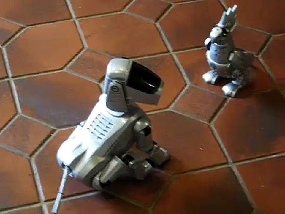 When aibo  met  polly.
