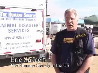 Saving Pets in Danger: HSUS Responds to California Wildfires