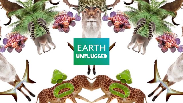 The blood and guts bug! - Bugface: Armoured Bush Cricket (Ep 3) - Earth Unplugged