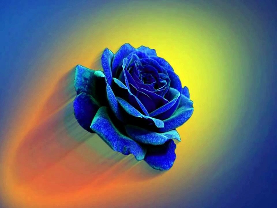 SLOW DANCING SWAYIN' TO THE MUSIC - Johnny Rivers - Stunning Effects and Images