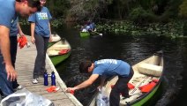 Final Week to Nominate Orlandos Environmental Volunteers for Cox Conserves Heroes Program
