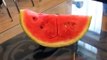 Islamic Miracle - Water Melon With Allah Written Inside