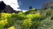 Unity 3d Natural Terrain Generation done with Free Assets