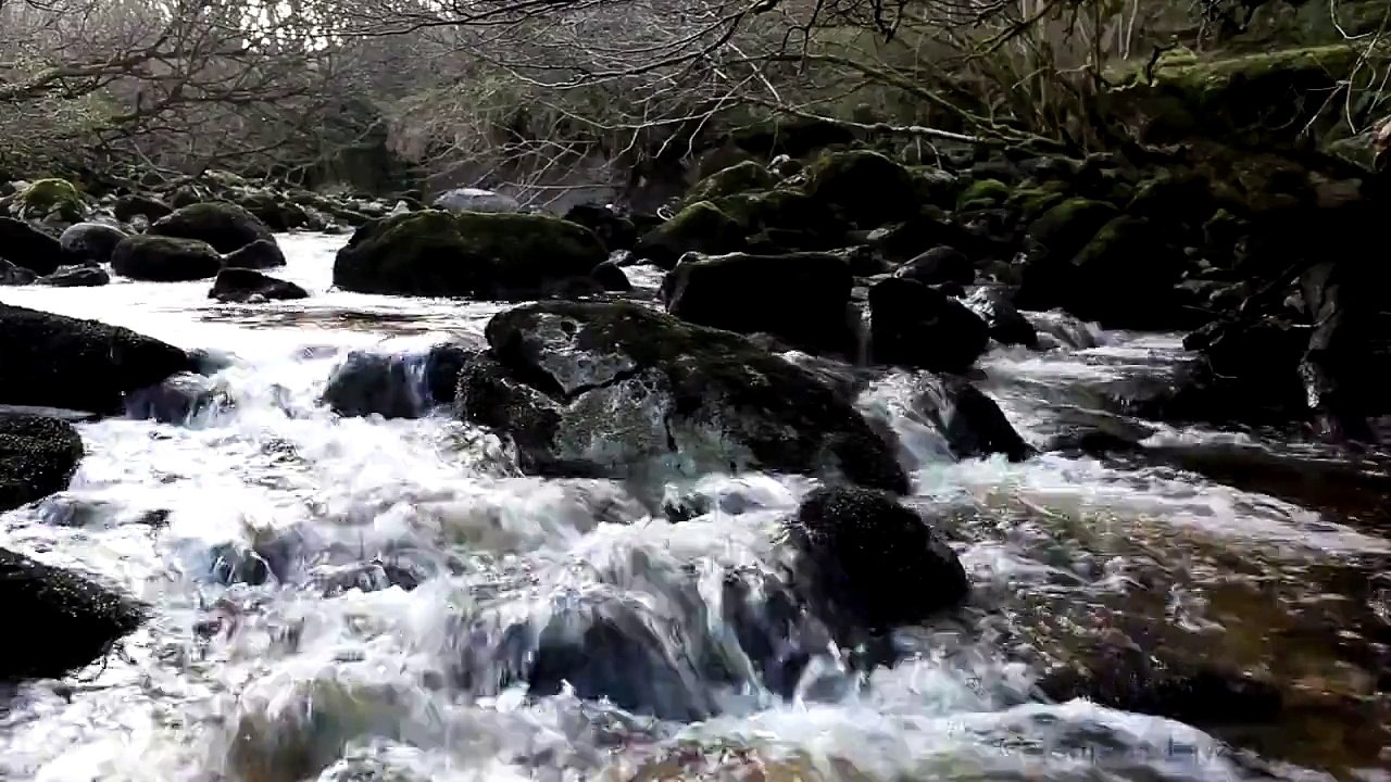 Relax 8 Hours-Relaxing Nature Sounds-Study-Sleep-Meditation-Water Sounds-Bird Song