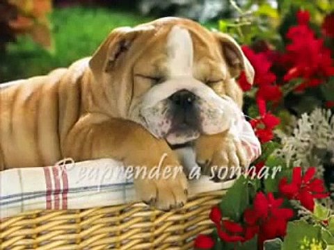 Maria Bethania - Brincar de Viver