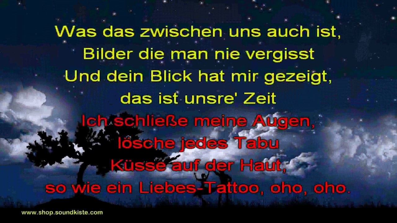 0208 Helene Fischer - Atemlos durch die Nacht Demo