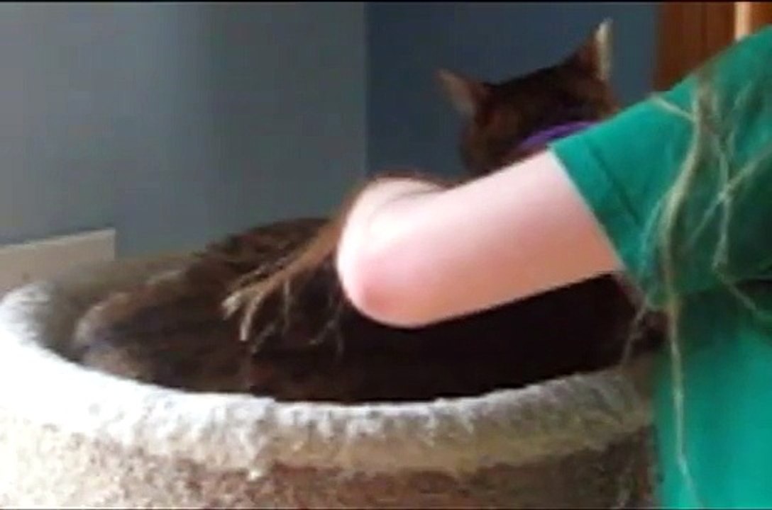 Trimming Zoe's Nails...?