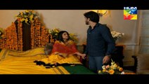 Alvida Episode 19 Full HUM TV Drama 17 June 2015 -
