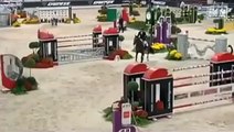 Cavalo campeão olímpico morre no meio de competição