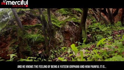 A Tree In Paradise - True Story - Merciful Servant Videos