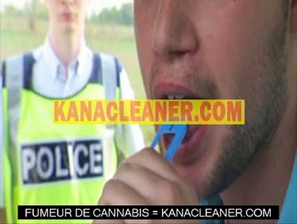 Val-d-Oise (95) : 1600 plants de cannabis decouverts par un huissier
