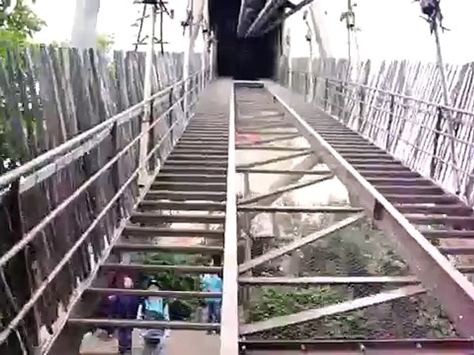 Black Mamba (Fantasia Land)