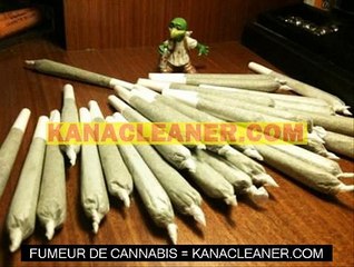 Susan Sarandon est pour le cannabis