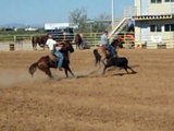 Lot# 19 Badger Bob Prom Full House Elite Performance Stock Horse Sale