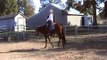 Ben Skippin Scool- all-around horse- Western Pleasure