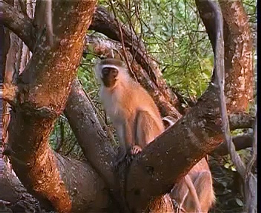 2BY2HOLIDAYS - MALAWI
