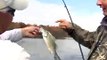 Austin Outdoors: Bass Fishing On Oak Hollow Lake