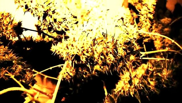 Kéros-n - Marie 2012