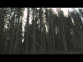 TV3 - Tria33 - Festival Embarrat + PICURT