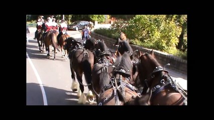 Bokbierdag 2012, unieke beelden vanaf 8 span shires!