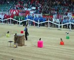 Opening show at agility world championship 2010