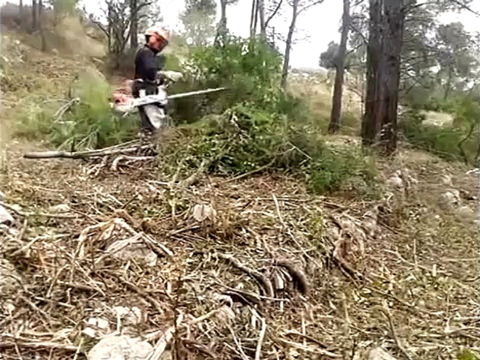 stihl fs 560 c-em   stihl fs 550 c-em