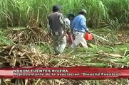 Ribera del Rio Hondo atrae a mas de 2 mil 500 cortadores de caña de azúcar de otros estados