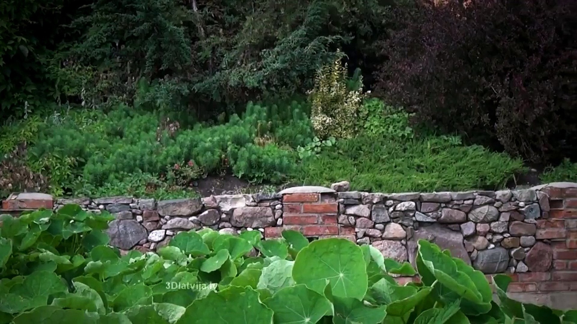 Filma bērniem mani zvēri