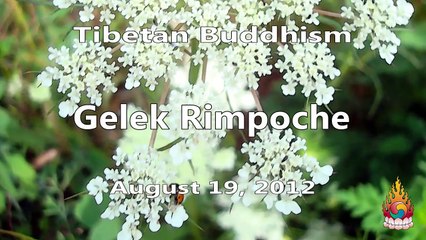 Gelek Rimpoche Tibetan Buddhism 33 Know What Helps and What Harms In Your Life