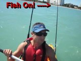 Catching (trolling) and Rigging Live Bait - Kayak