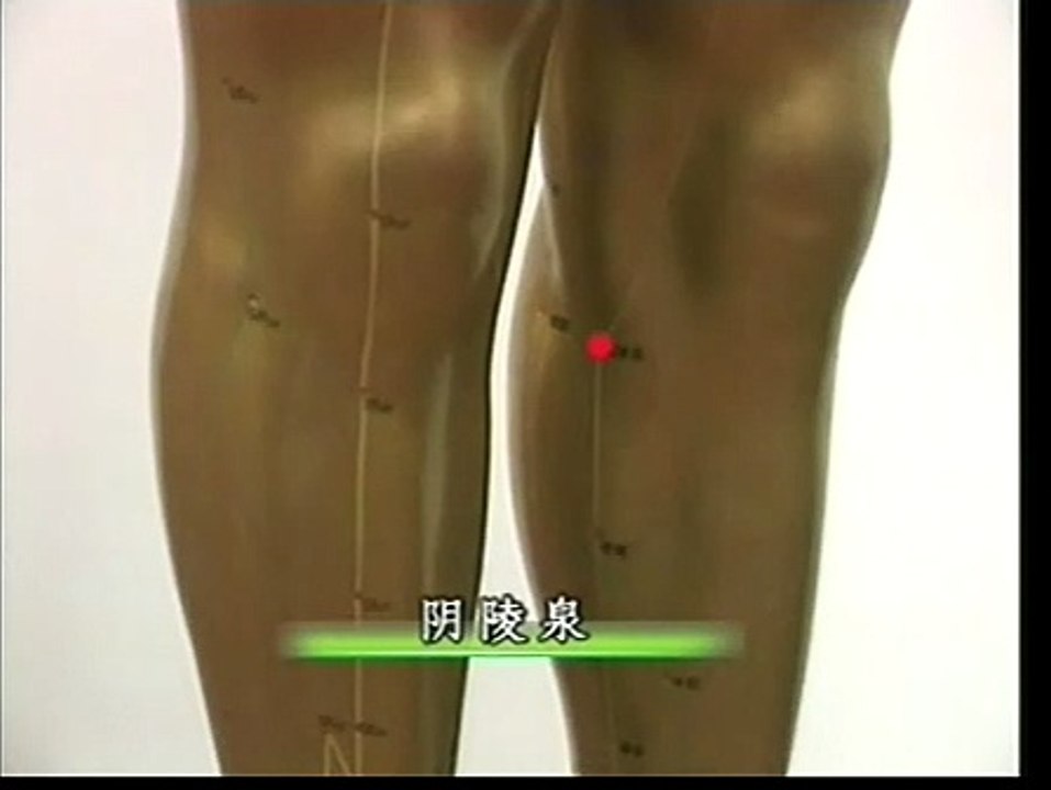 DIY 高血压病的家庭保健推拿 (9) 阴陵穴