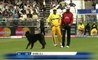 Dog Rules The Cricket Field