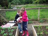 Seeds for Change, North Devon Homes Community Agriculture Social Enterprise.wmv