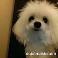 Billi Dubsmash