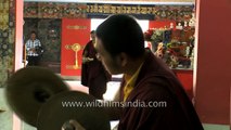 Buddhist monks reading holy scriptures at Mindrolling Monastery