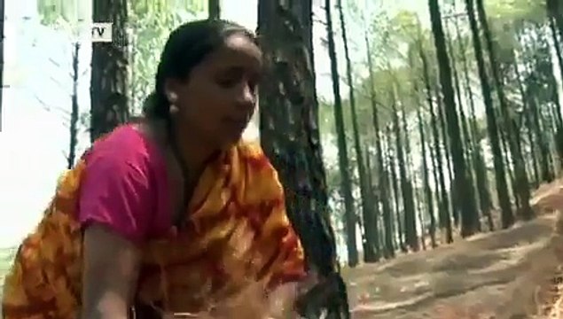 Clean Air in India through Biomass Briquettes | Global 3000