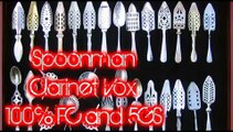 Spoonman - Rock Band 2 Wii Clarinet Vocals -100% FC and 5GS